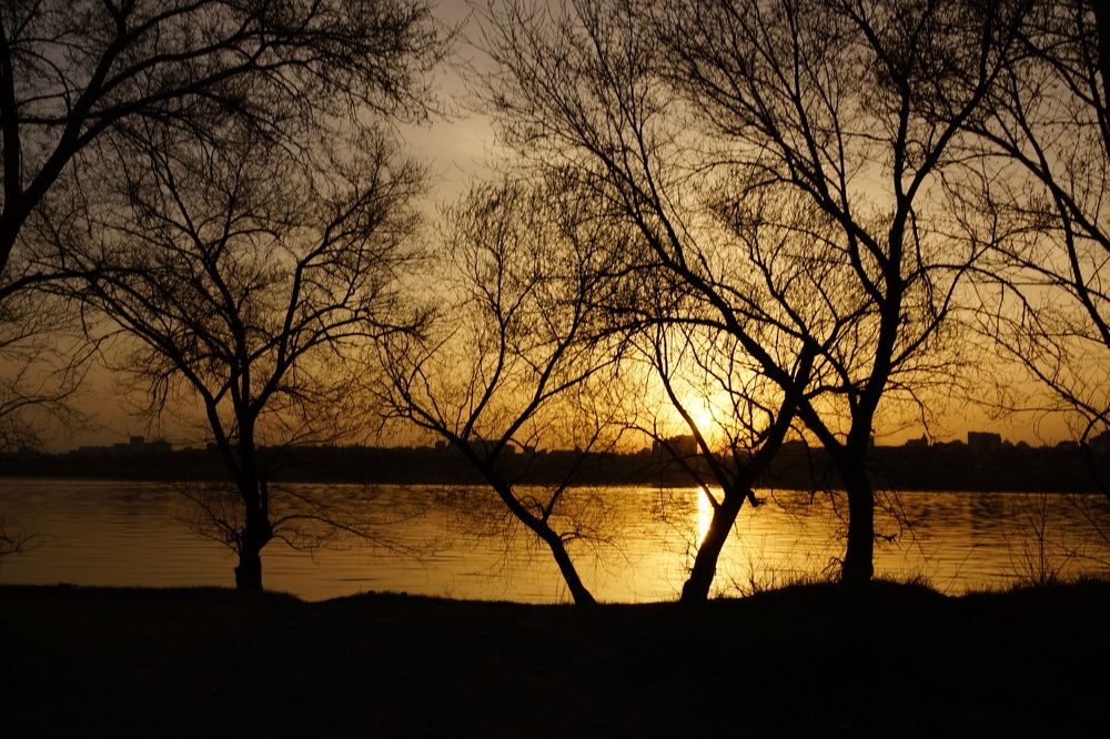 Photograph by Михаил Пасынков