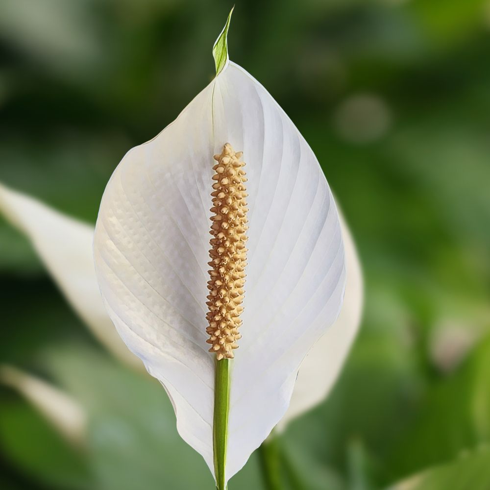 Фотография автора Jeff Cooley