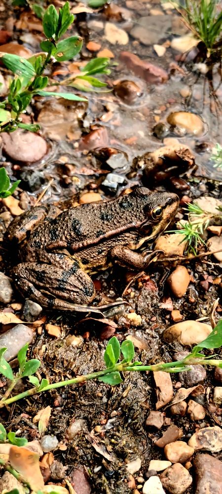 Photograph by Александра Насырова