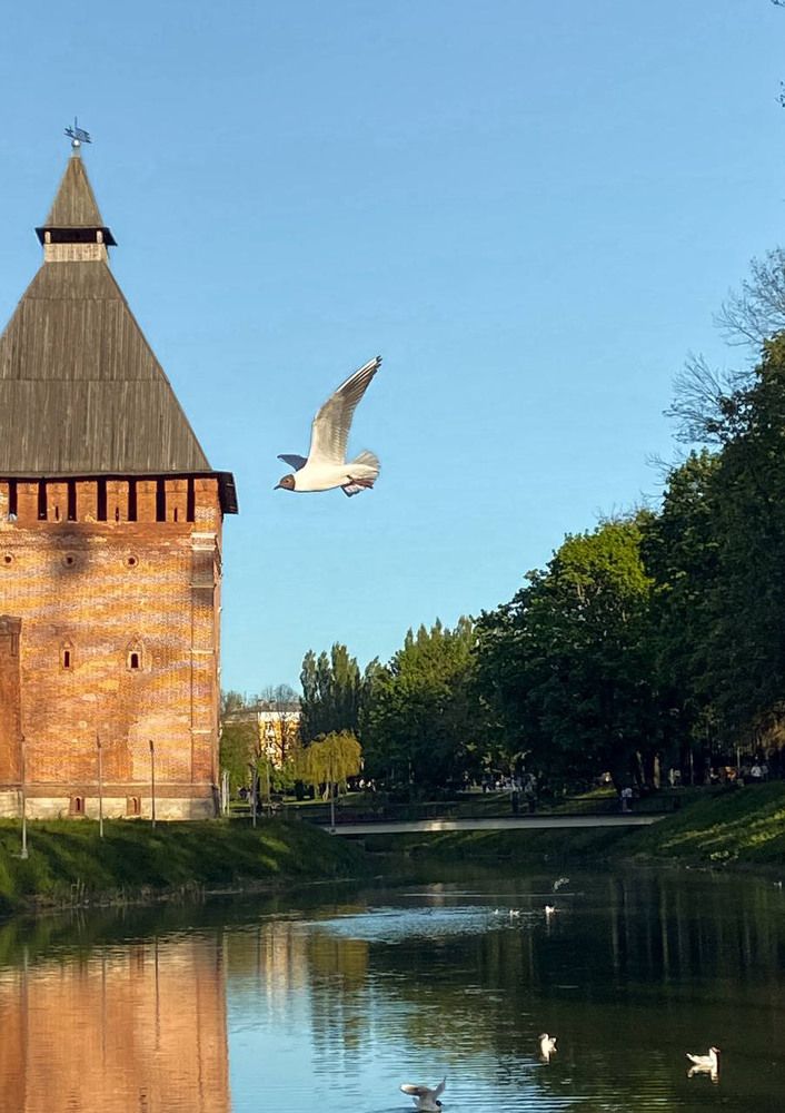 Photograph by Светлана Долганова