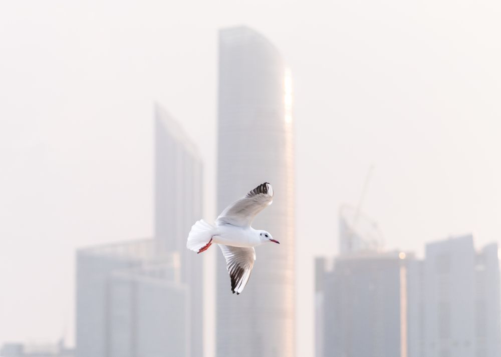 Photograph by Jayakumar MN