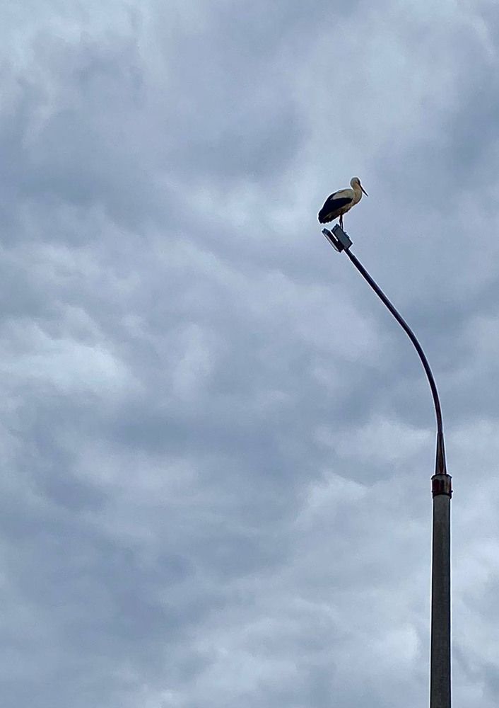 Photograph by Светлана Долганова