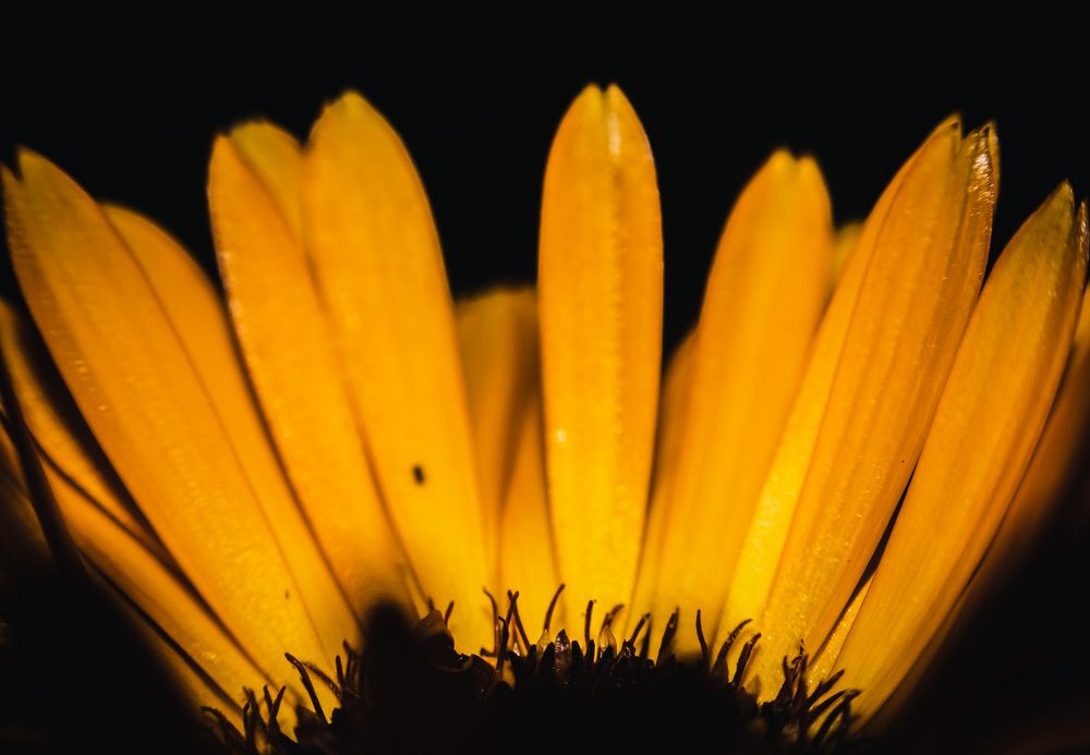 Photograph by Дмитрий Кузнецов