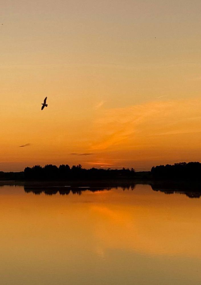 Photograph by Светлана Долганова