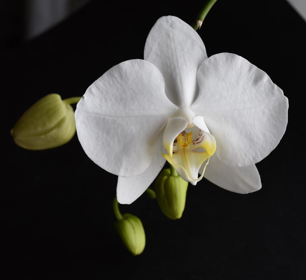 Photograph by Сергей Владимирович Егоров