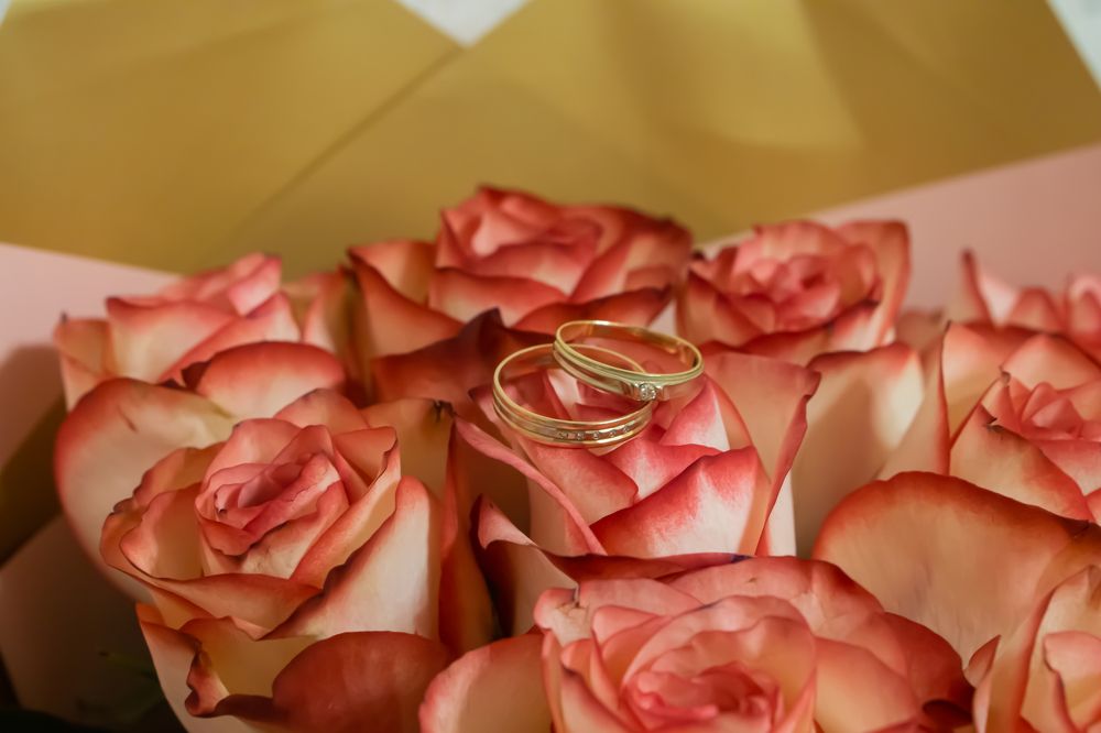 Photograph by Александр Пургин