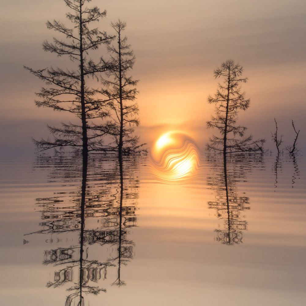 Photograph by Михаил Мархинин