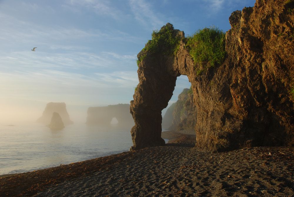 Photograph by Василиса Ногина