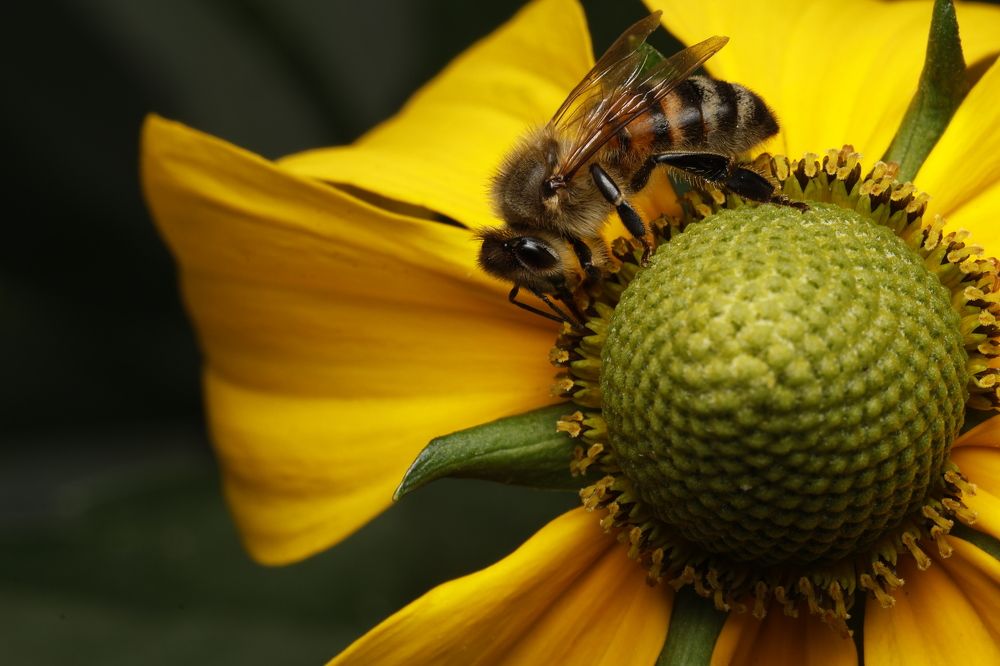 Photograph by Andrei Sabanov