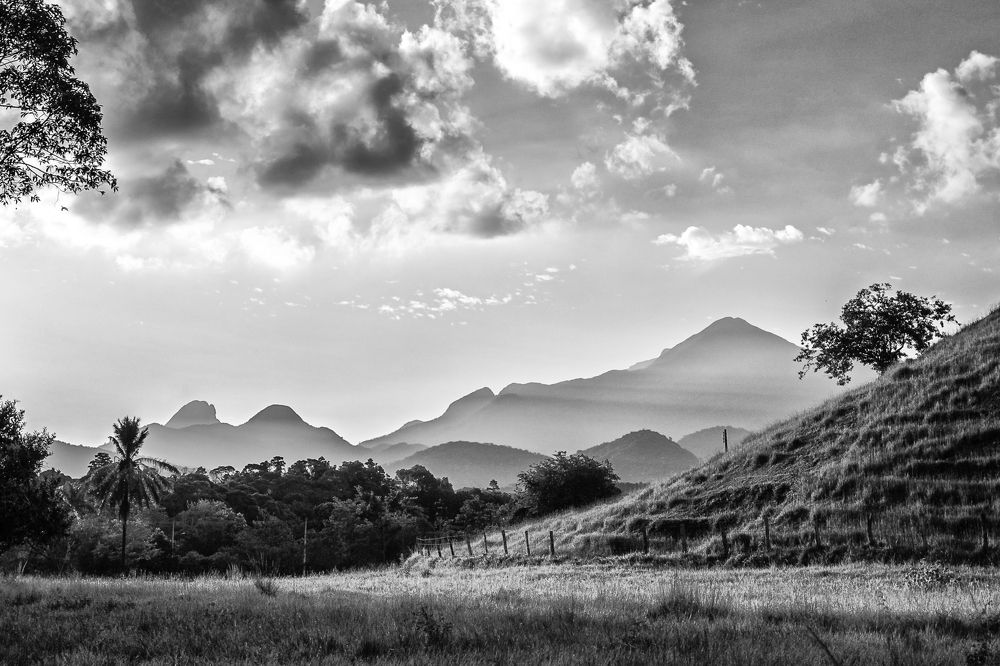 Photograph by CARLOS KIFFER