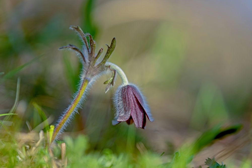 Photograph by константин