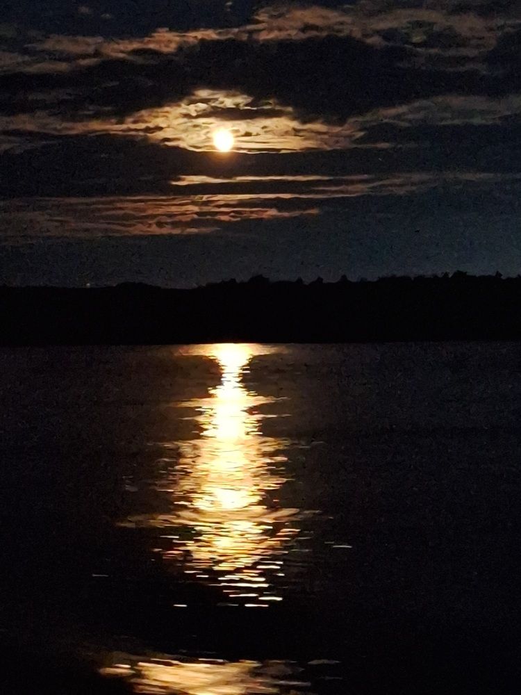 Photograph by Natalia Lebedeva