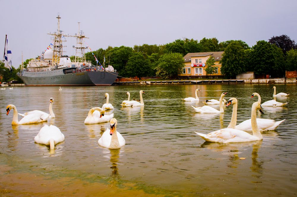 Фотография автора Ксения