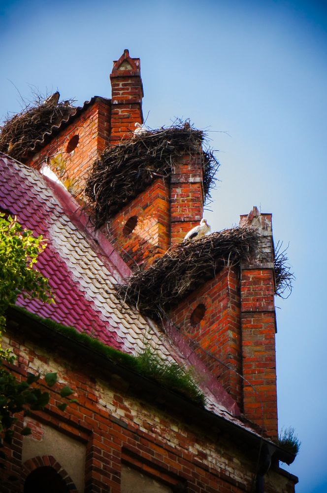 Фотография автора Ксения