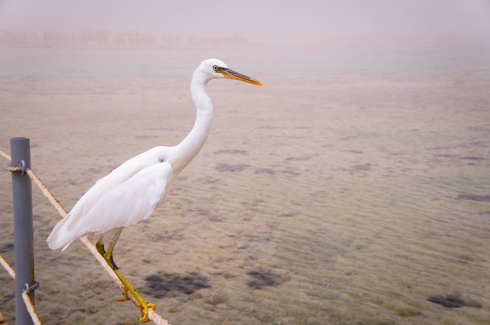 Фотография автора Ксения