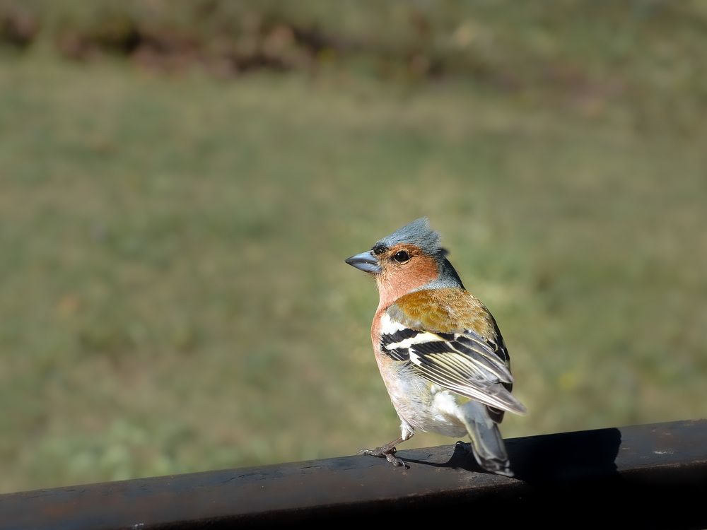 Photograph by Валерий Верещако