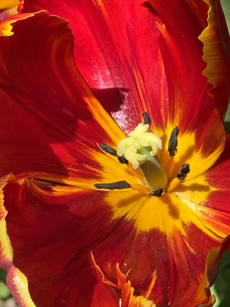 Photograph by Елена Смирнова