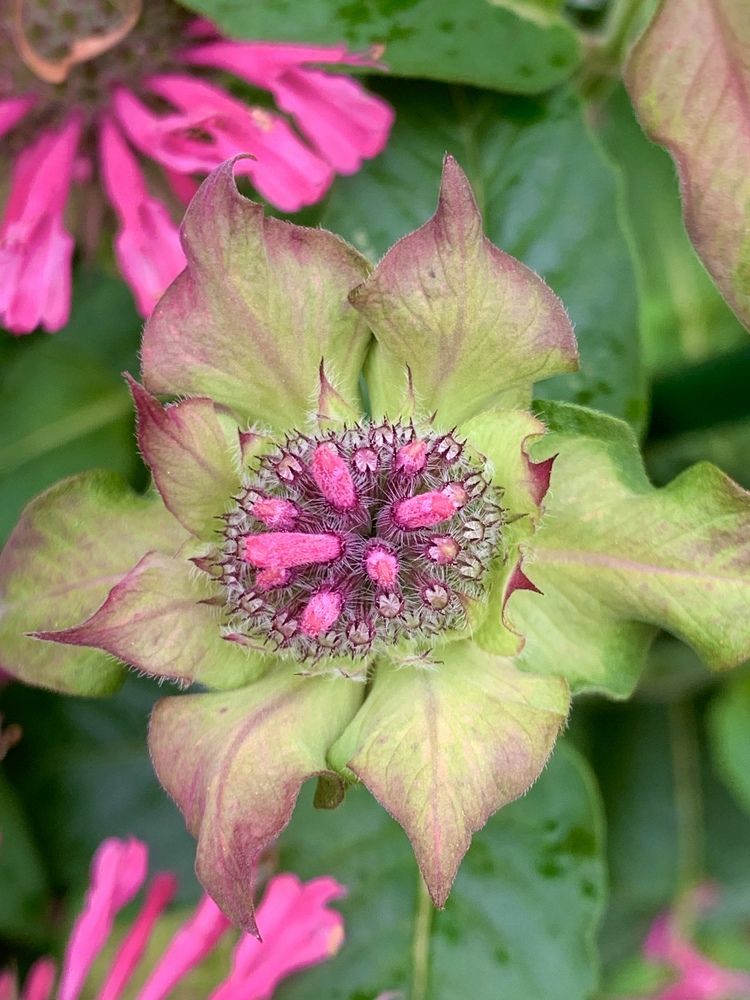 Photograph by Елена Смирнова