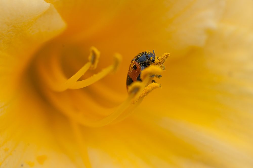 Фотография автора Юрий Кульмяков