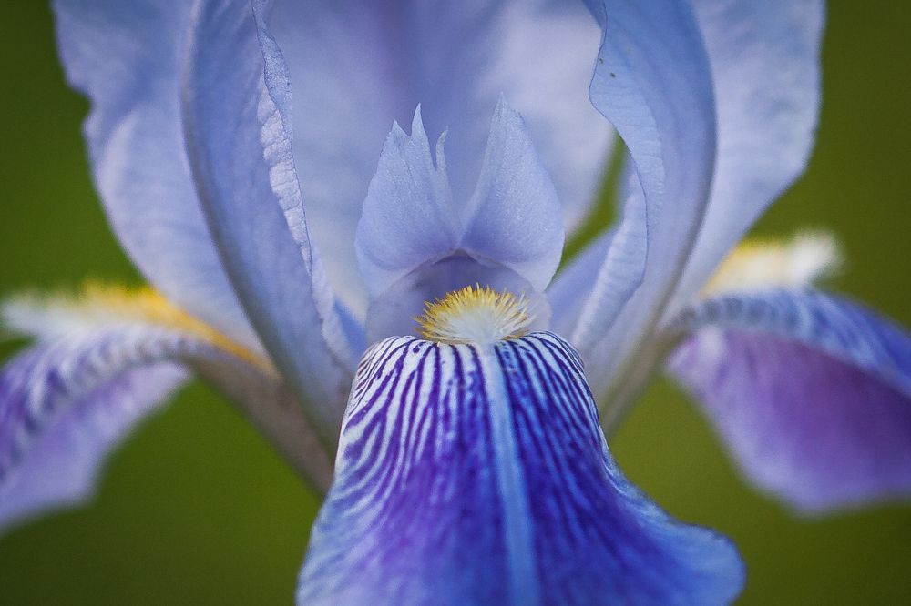 Фотография автора Юрий Кульмяков