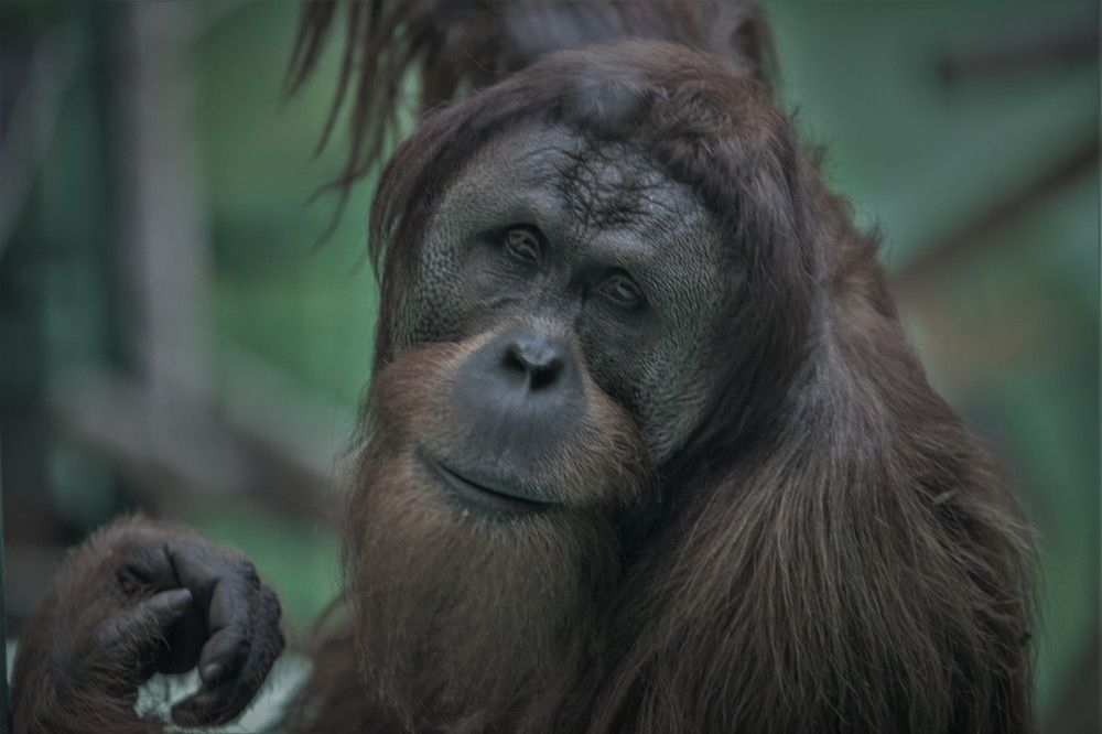 Фотография автора Юрий Кульмяков