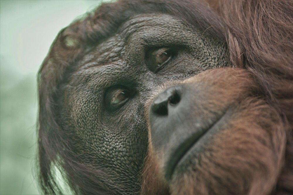 Фотография автора Юрий Кульмяков