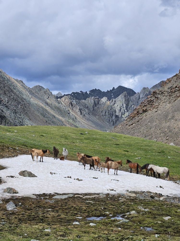 Фотография автора Регина Цыганова