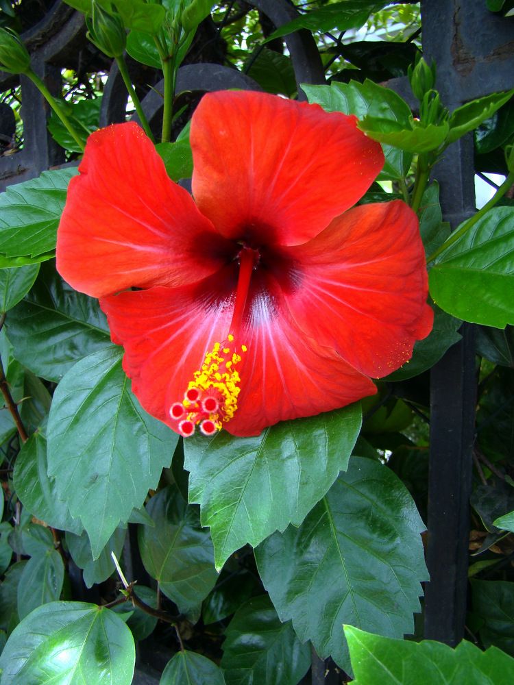 Photograph by Ирина Федичева