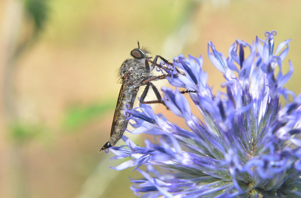 Photograph by Алексей Volg