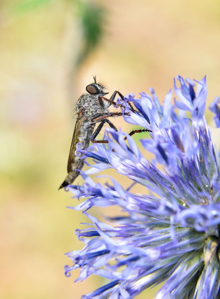 Photograph by Алексей Volg