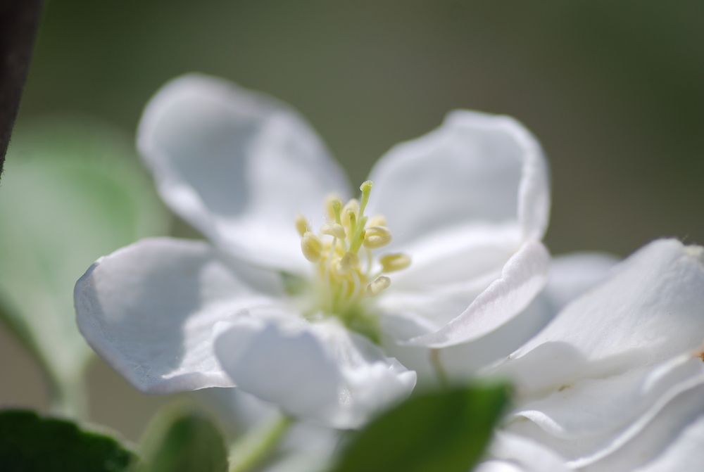 Photograph by Оксана Трофименко