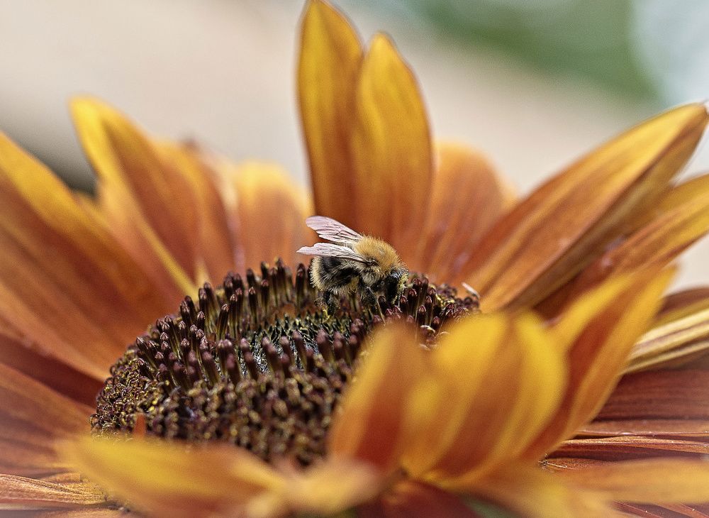 Photograph by Сергей Басов