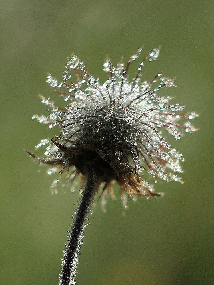 Photograph by Евсеева Валентина