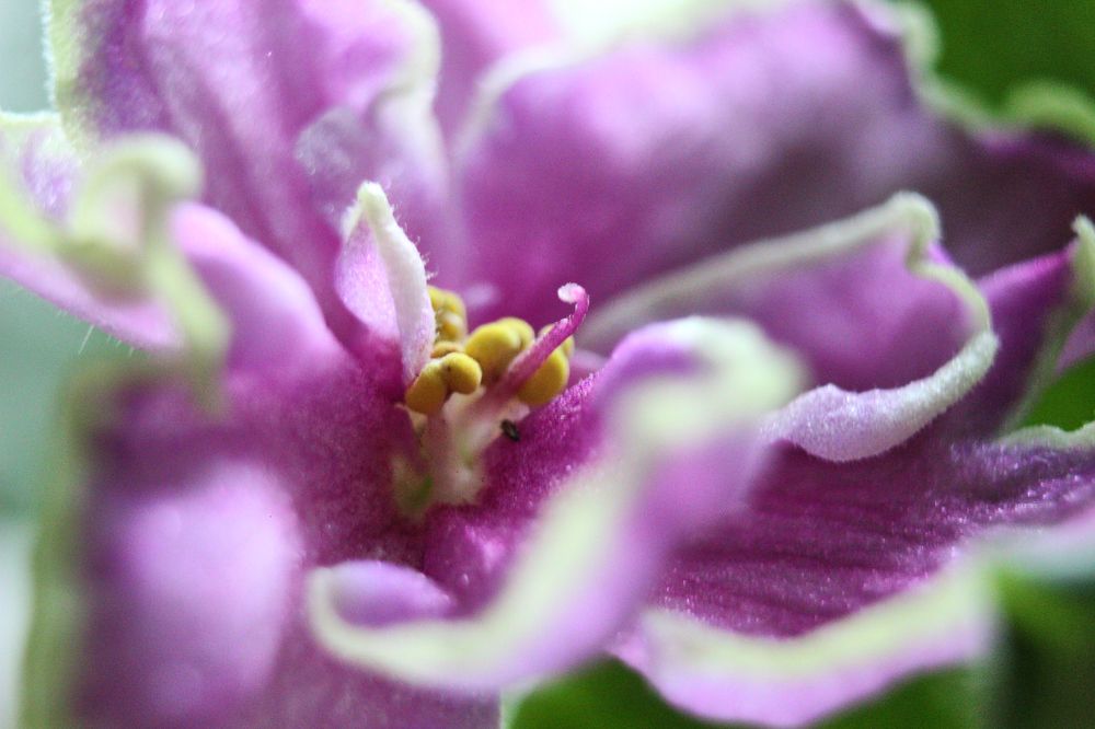 Фотография автора Наталия Мащенко