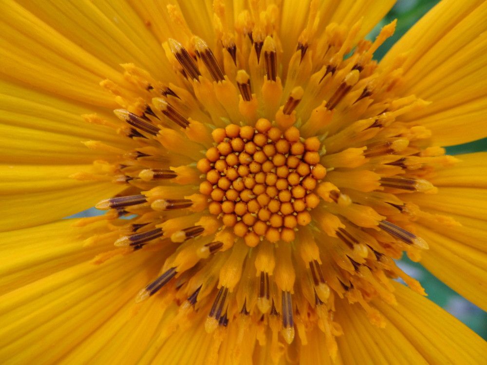 Фотография автора Nico Ebersohn