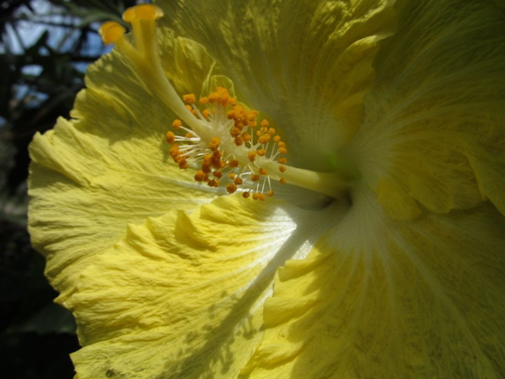 Фотография автора Nico Ebersohn