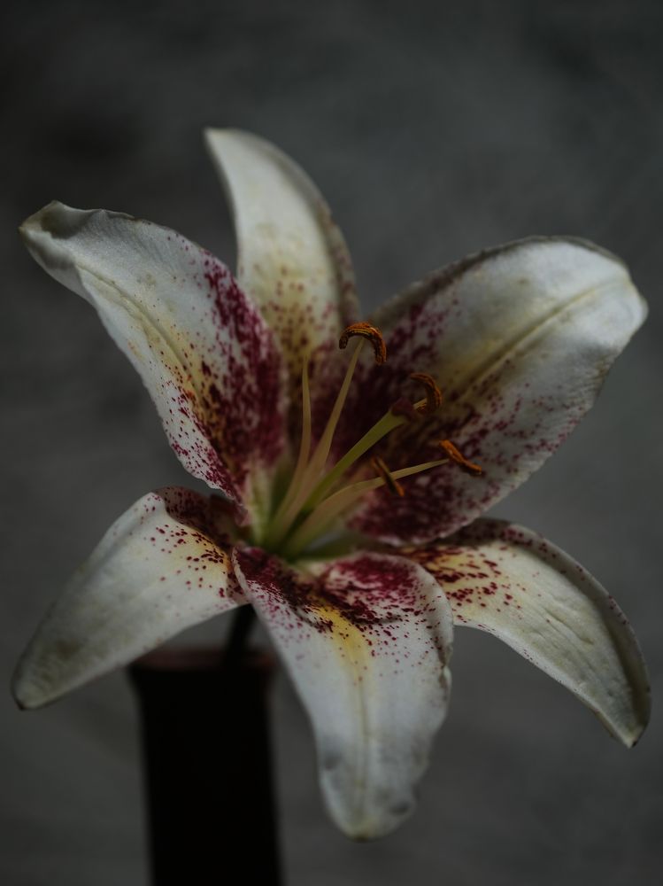 Photograph by Тим Мартынов