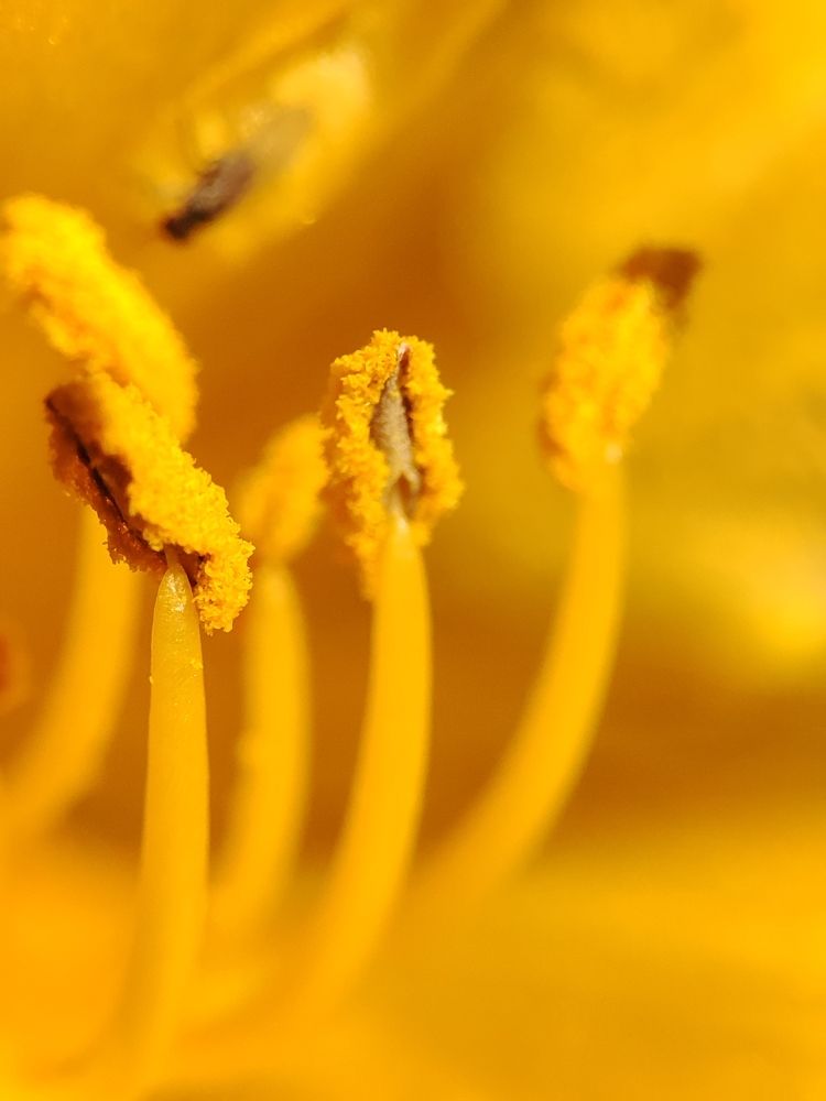 Photograph by Юлия Гинтер