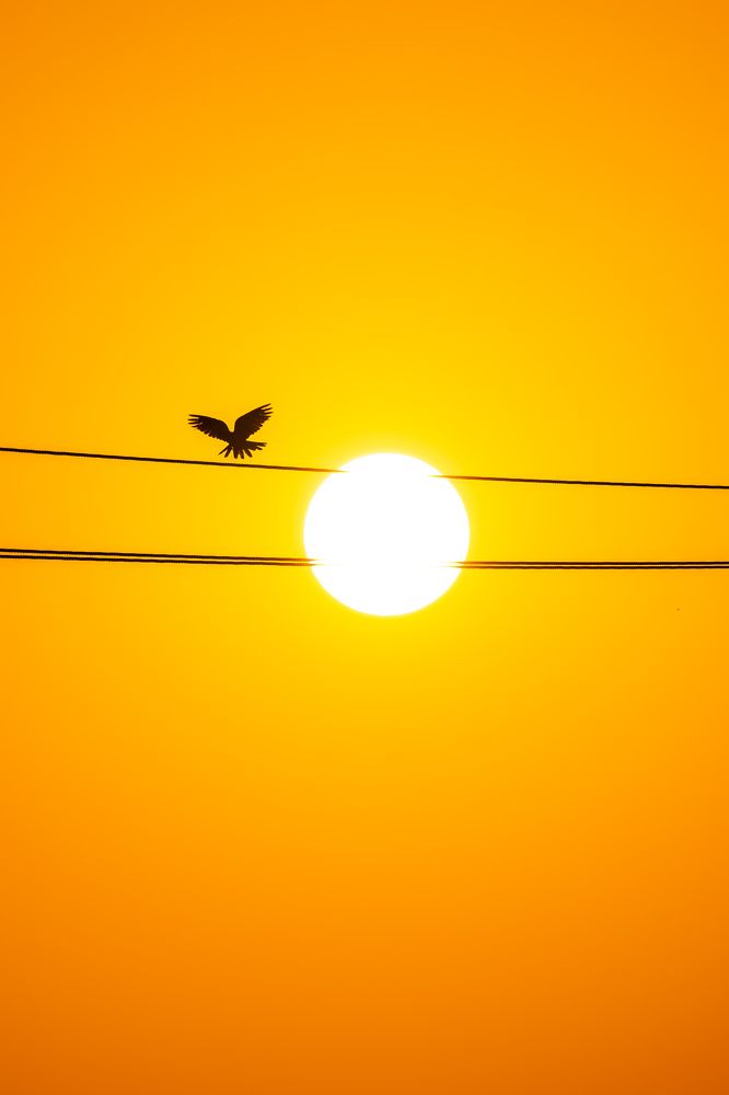 Photograph by Zubair Irshad