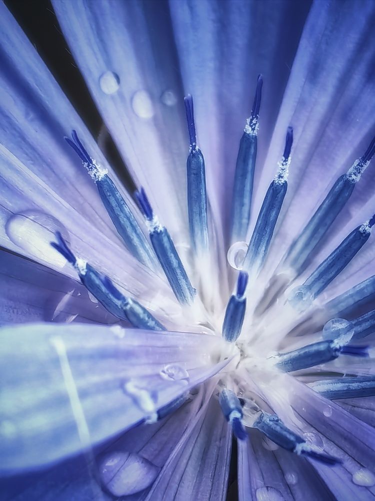 Photograph by Сергей Зайцев