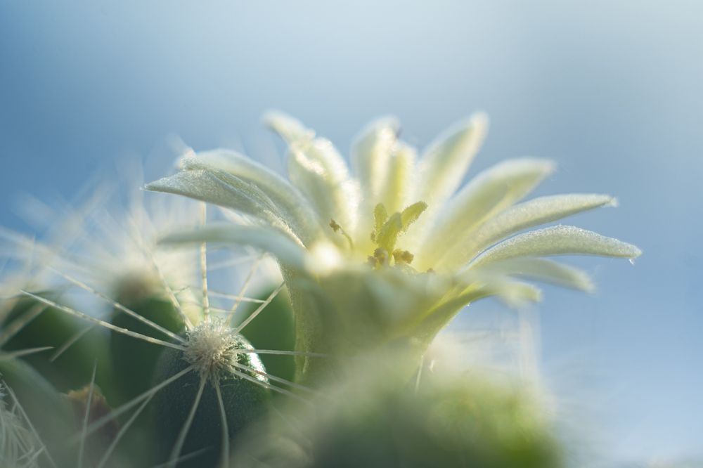 Photograph by Василий Снигирь