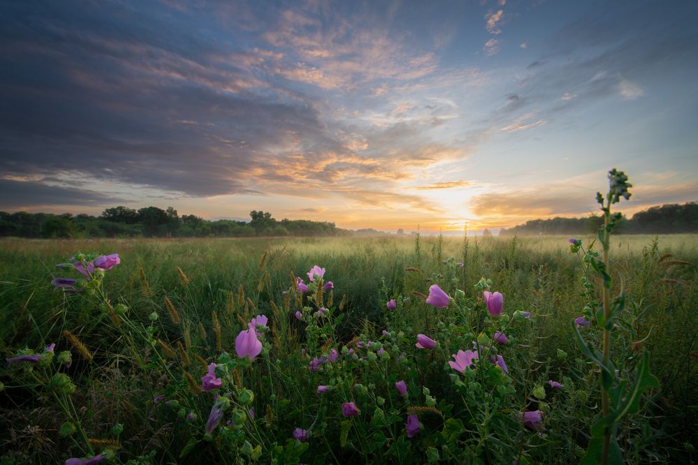 Photograph by Василий Снигирь