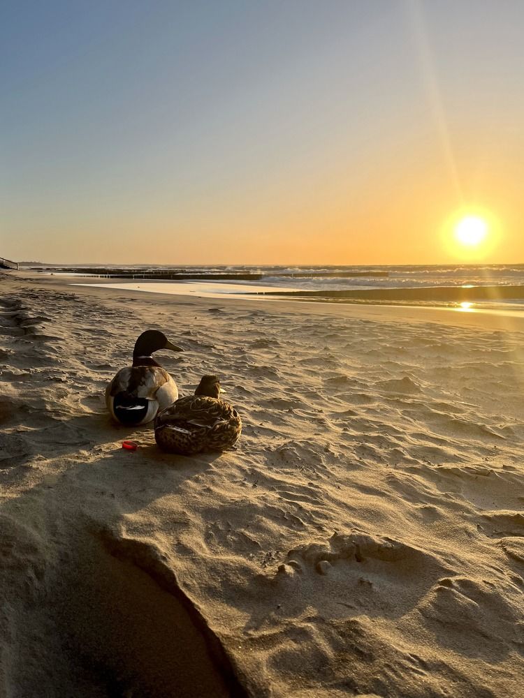 Photograph by Елена Карпухно