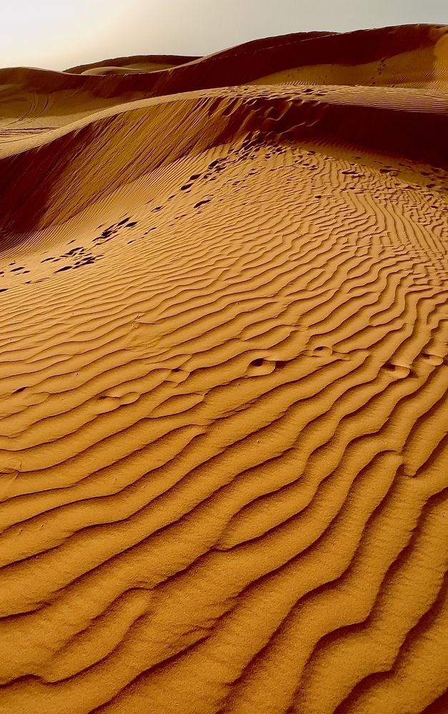 Photograph by Евгения Казакова