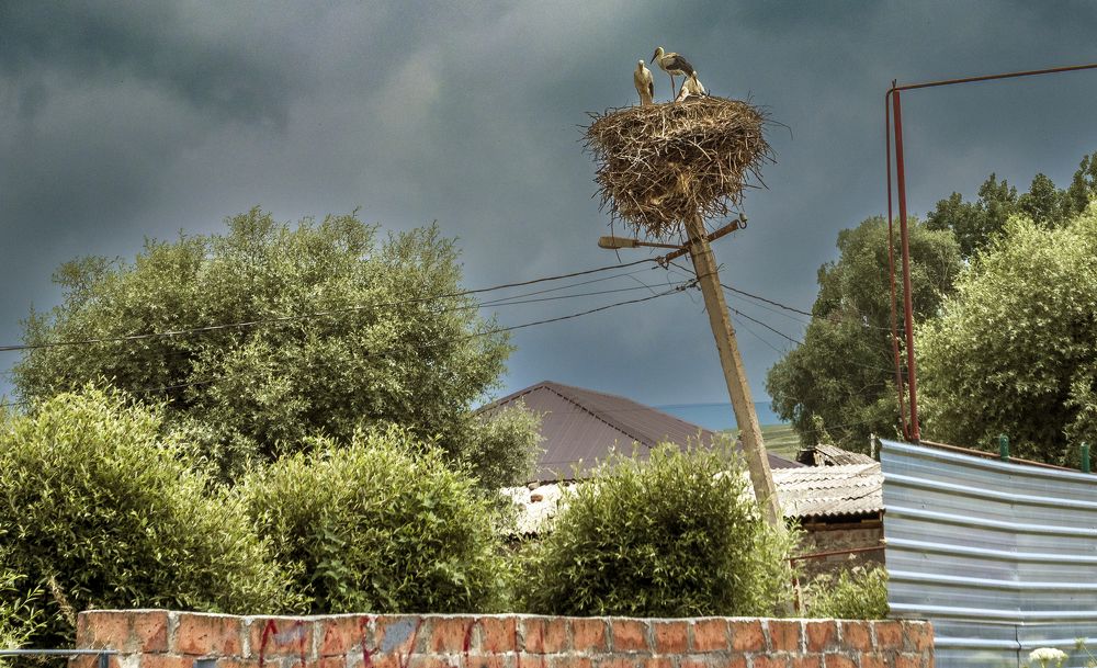 Photograph by Alex Kalpus