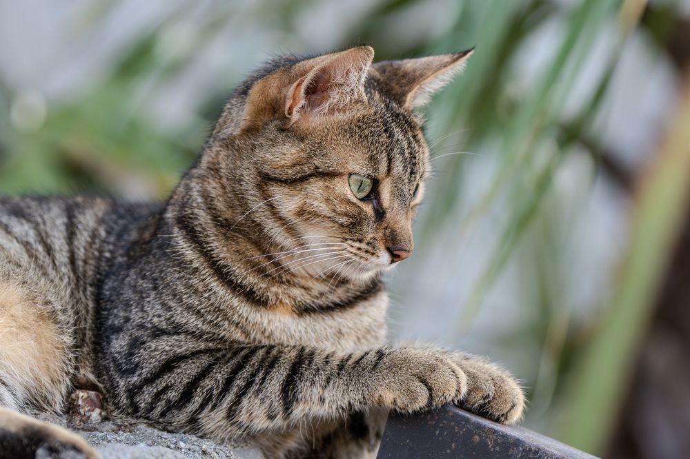 Photograph by Сергей Жиркевич