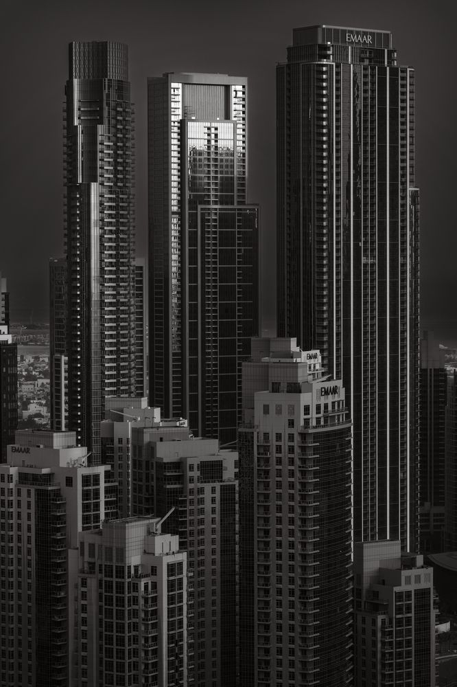 Фотография автора Talal Abodeshish