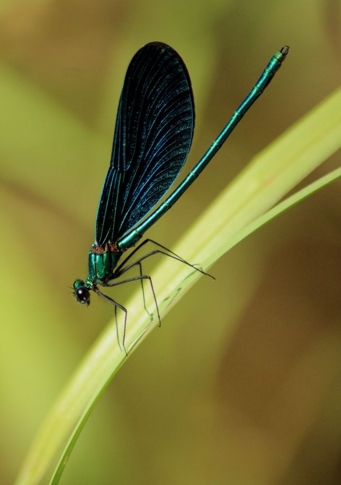 Photograph by Софья Белова