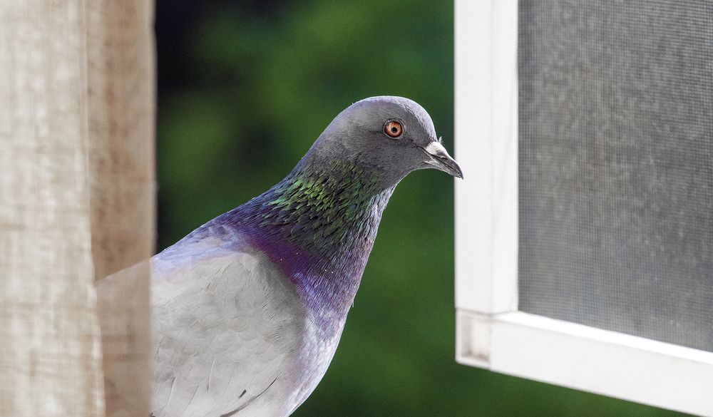 Photograph by Alex Kalpus