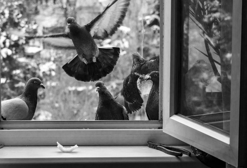 Photograph by Alex Kalpus